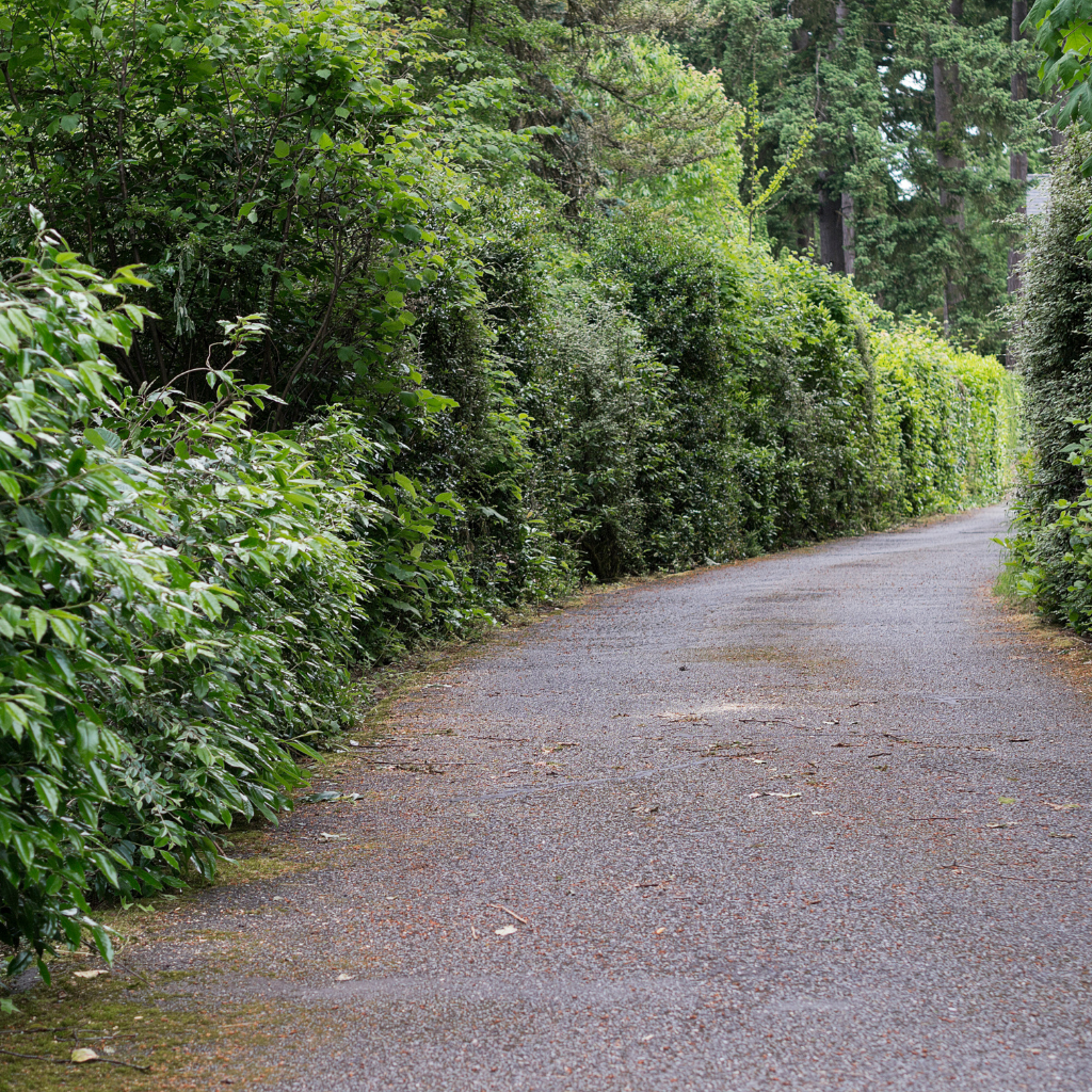 Quality Tarmaced Driveway by WCD Abergele driveway company